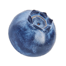Blueberry